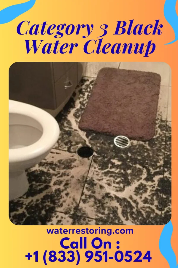 Category 3 Black Water Cleanup in Oreana, IL