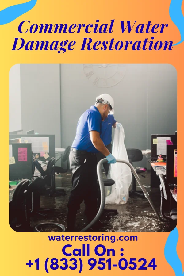 Commercial Water Damage Restoration in Oreana, IL