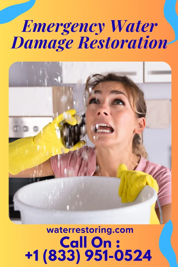 Emergency Water Damage Restoration in Oreana, IL