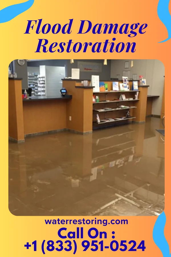 Flood Damage Restoration in Oreana, IL