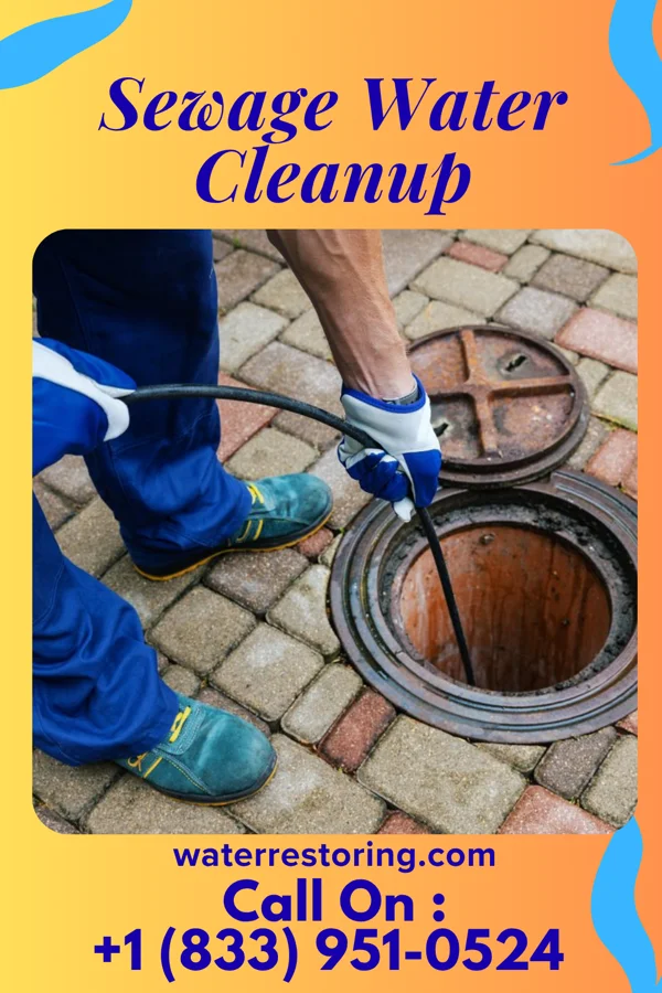 Sewage Water Cleanup in Oreana, IL